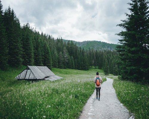 Kobieta czytająca książkę w wygodnym fotelu z kubkiem herbaty, ilustrująca popołudniowy odpoczynek